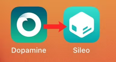 图片[5]-Dopamine（多巴胺）越狱教程